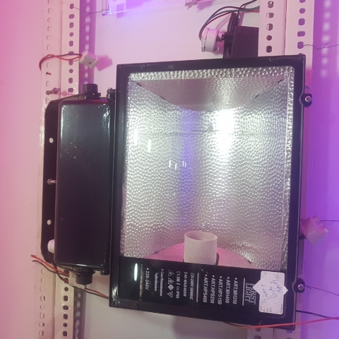 HALOGEN LIGHT