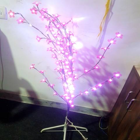 LED PLANT