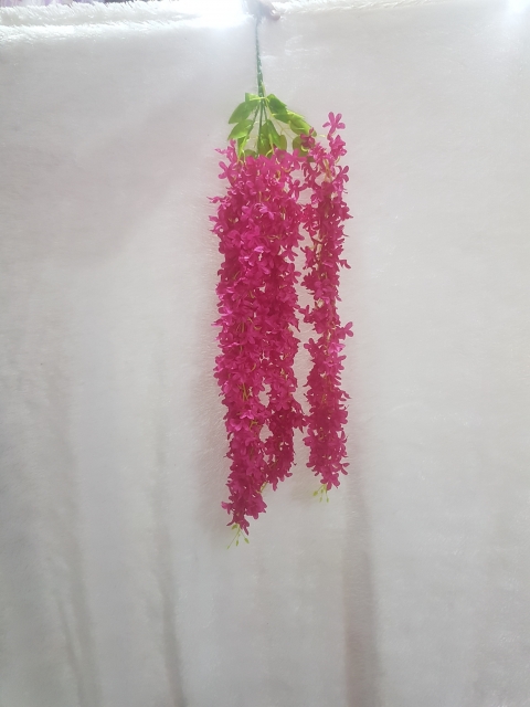 FLOWER HANGING A